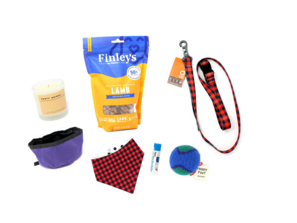 Collage of Party Animal Candle, Lamb Trainer Bites, Purple and Black Weave Collapsible Dog Bowl, Plaid Dog Bandana, Boo Boo Butter, Ball, and Lumberpup™ Everyday Leash on white background./